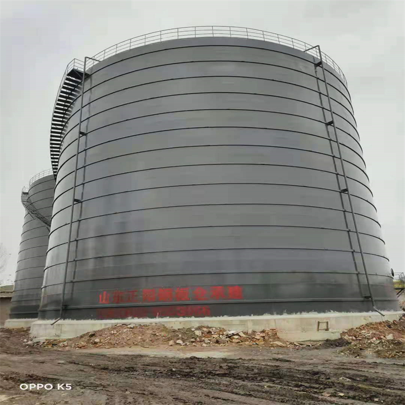 巴马3万吨大型钢板库