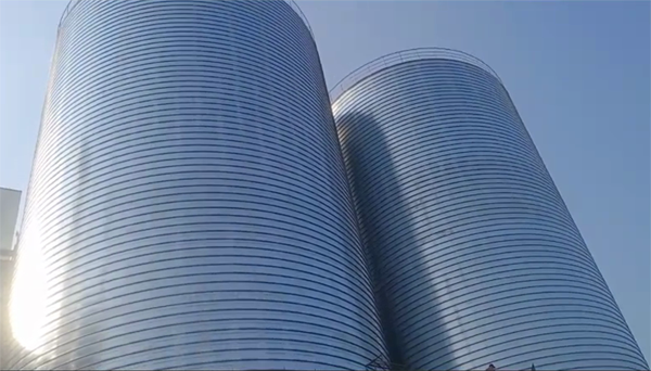 巴马2座混凝土高架卷板仓